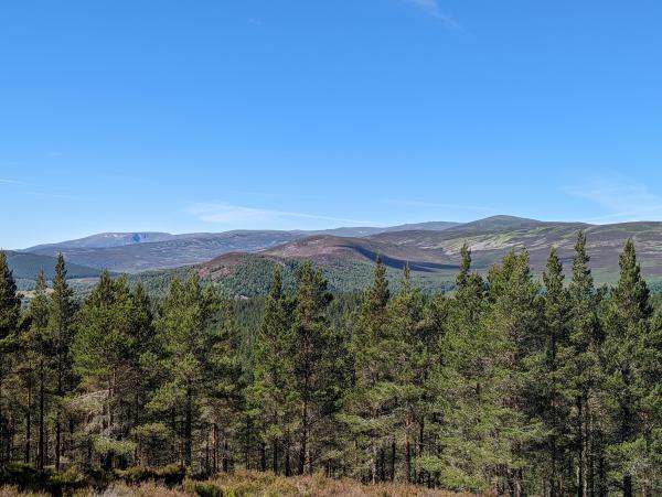 Nature Reserves in Scotland