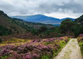 The Cairngorms