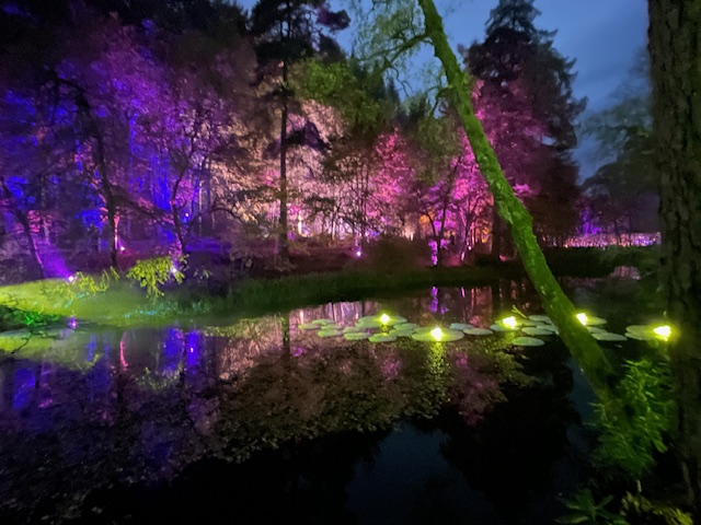 Enchanted Forest Pitlochry